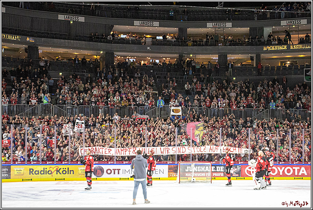 DEL; Koelner Haie - Adler Mannheim, 09.04.2019